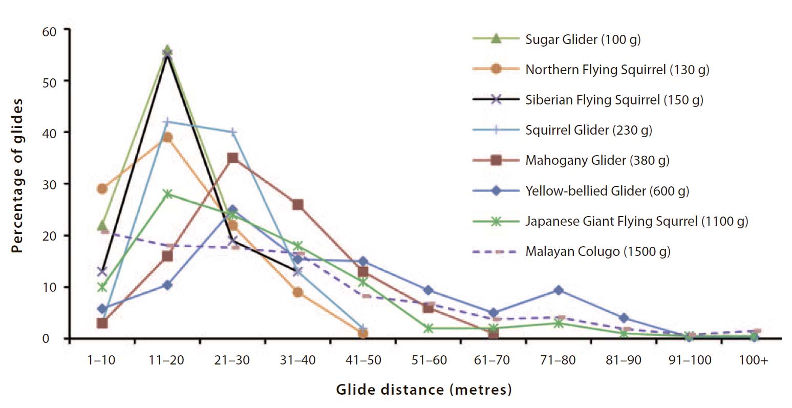 The relationship between the body mass of different species of gliding mammals and their glide distances