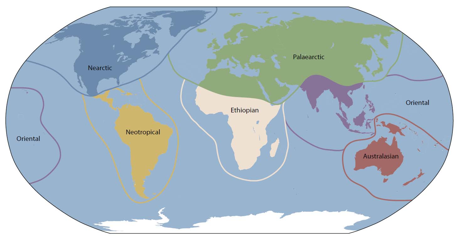 The six zoogeographic regions of the world are areas with distinctive fauna