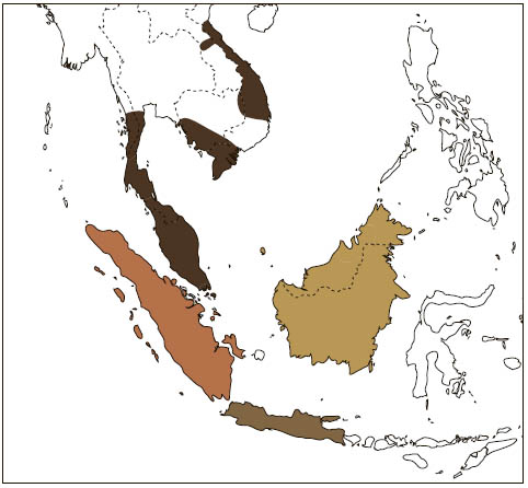 Distribution: Malayan Colugo