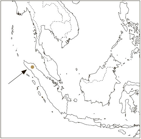 Distribution: Sumatran Flying Squirrel
