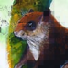 Sumatran Flying Squirrel / Hylopetes winstoni