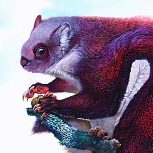 Namdapha Flying Squirrel / Biswamoyopterus biswasi