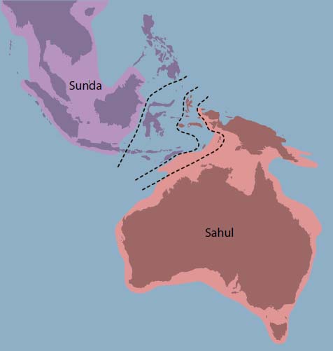 During the glacial maxima of the Pleistocene, the entire Sunda Shelf was exposed as dry land