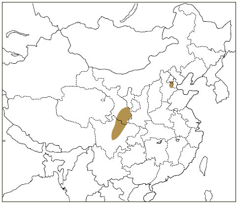 Distribution: North Chinese Flying Squirrel