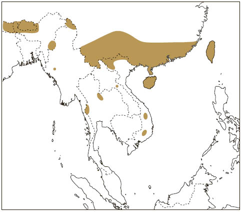 Distribution: Hairy-footed Flying Squirrel