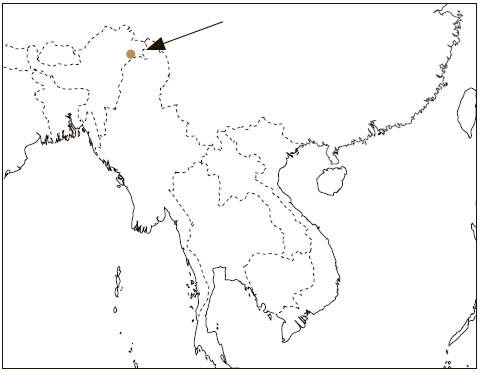 Distribution: Namdapha Flying Squirrel