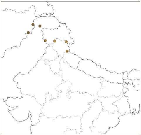 Distribution: Kashmir Flying Squirrel