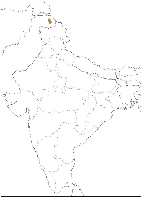 Distribution: Pakistan Woolly Flying Squirrel