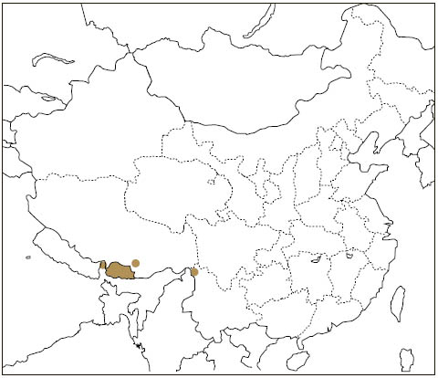 Distribution: Tibetan Woolly Flying Squirrel