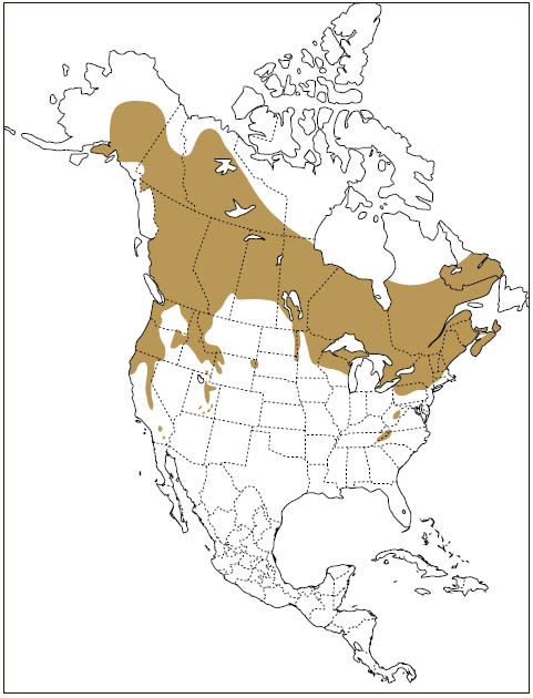 Distribution: Northern Flying Squirrel