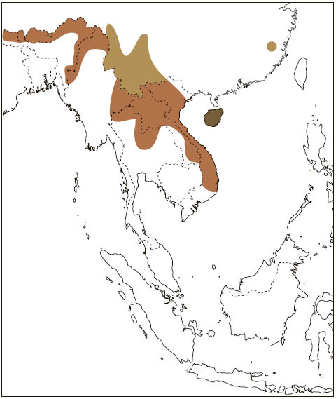 Distribution: Particolored Flying Squirrel