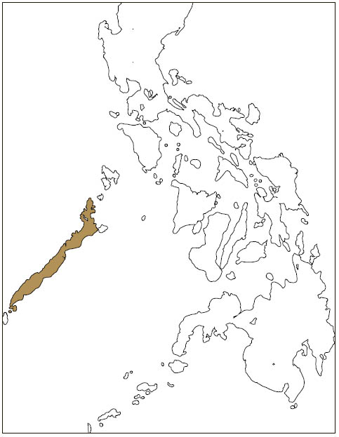 Distribution: Palawan Flying Squirrel