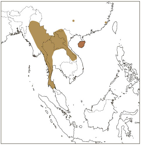 Distribution: Indochinese Flying Squirrel