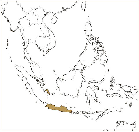 Distribution: Arrow-tailed Flying Squirrel