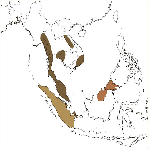 Distribution: Red-cheeked Flying Squirrel