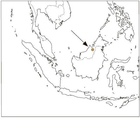 Distribution: Lesser Pygmy Flying Squirrel