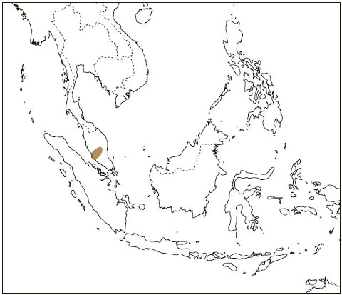 Distribution: Selangor Pygmy Flying Squirrel