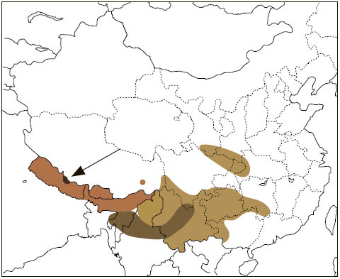 Distribution: Gray-headed Giant Flying Squirrel