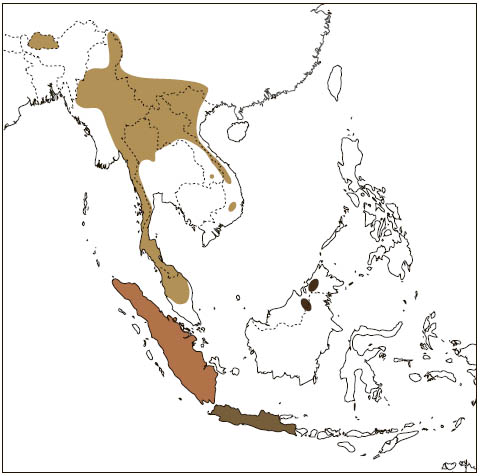 Distribution: Spotted Giant Flying Squirrel