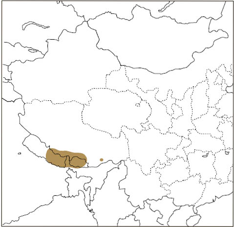 Distribution: Hodgson’s Giant Flying Squirrel