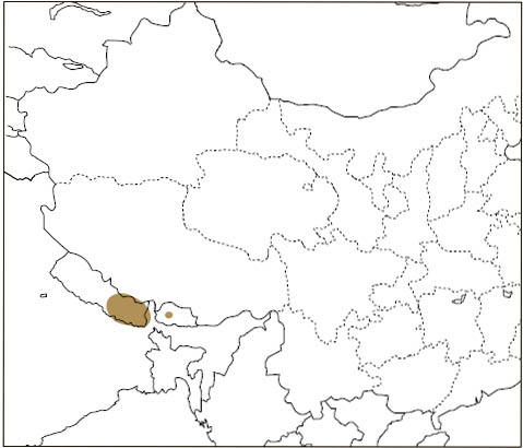 Distribution: Bhutan Giant Flying Squirrel