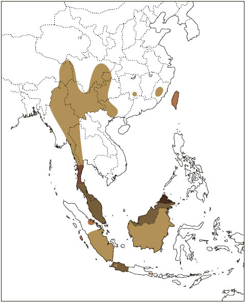 Distribution: Red Giant Flying Squirrel