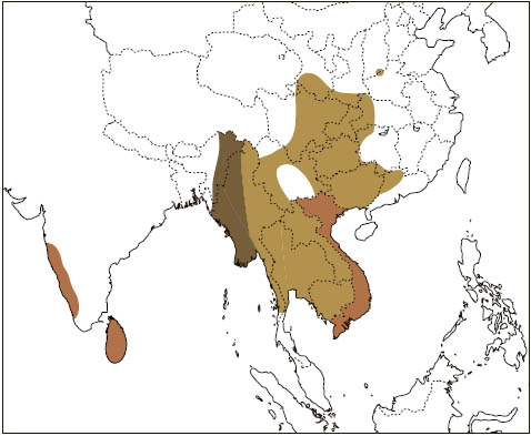 Distribution: Indian Giant Flying Squirrel