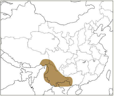 Distribution: Yunnan Giant Flying Squirrel