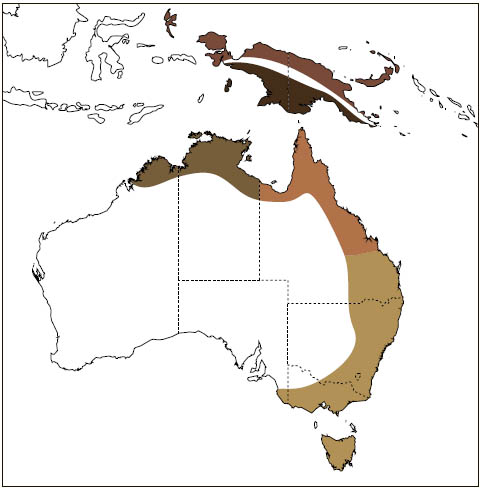 Distribution: Sugar Glider