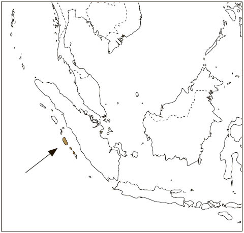 Distribution: Siberut Flying Squirrel