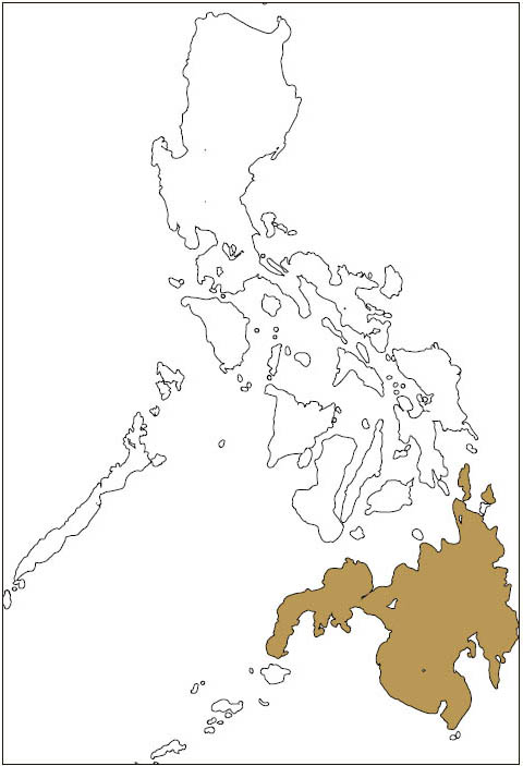 Distribution: Mindanao Flying Squirrel