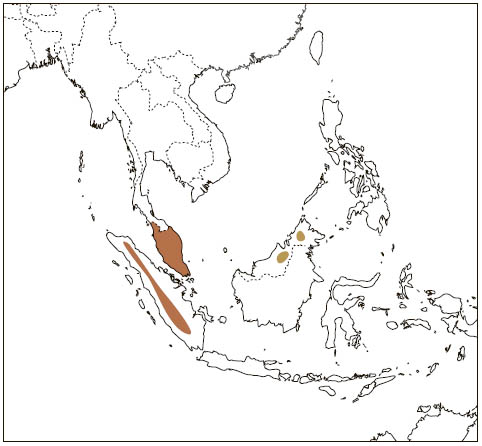 Distribution: Smoky Flying Squirrel