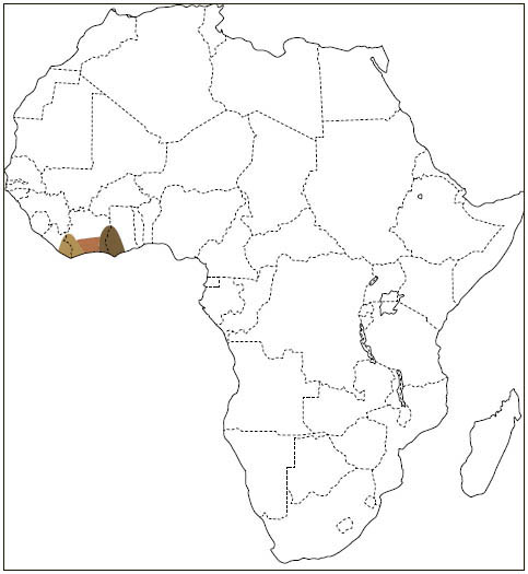 Distribution: Pel’s Scaly-tailed Flying Squirrel