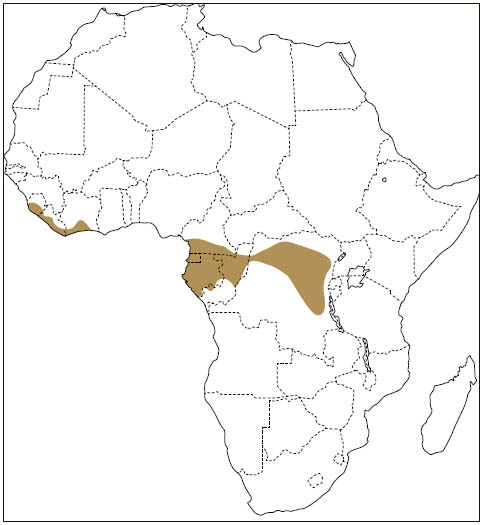 Distribution: Long-eared Scaly-tailed Flying Squirrel