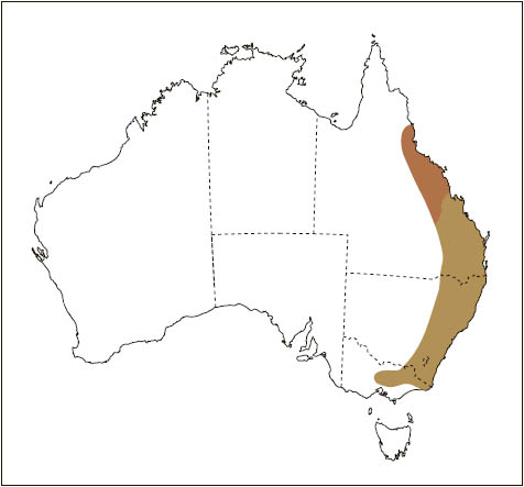 Distribution: Greater Glider