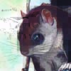 Sipora Flying Squirrel / Hylopetes sipora