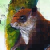 Sumatran Flying Squirrel / Hylopetes winstoni