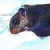 Travancore Flying Squirrel / Petinomys fuscocapillus