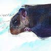 Travancore Flying Squirrel / Petinomys fuscocapillus